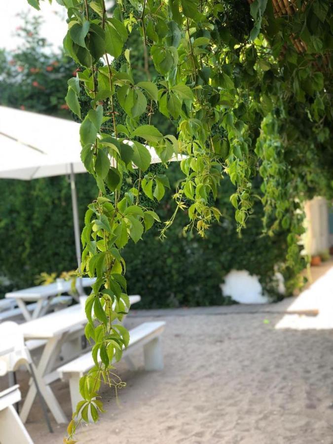 Casa Stavros Hotel Două Mai Buitenkant foto